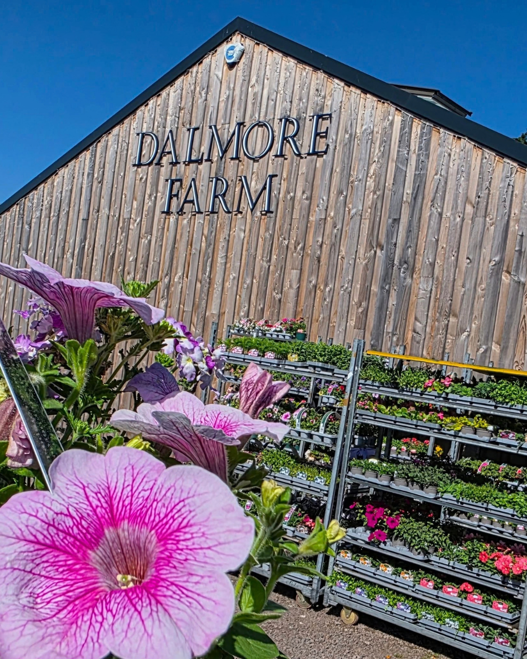 À l'extérieur de la ferme Dalmore.